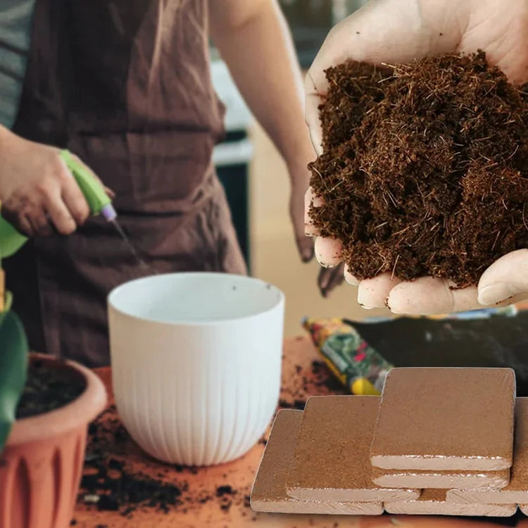 EcoBloom™ Cărămizi de cocos organice pentru plante