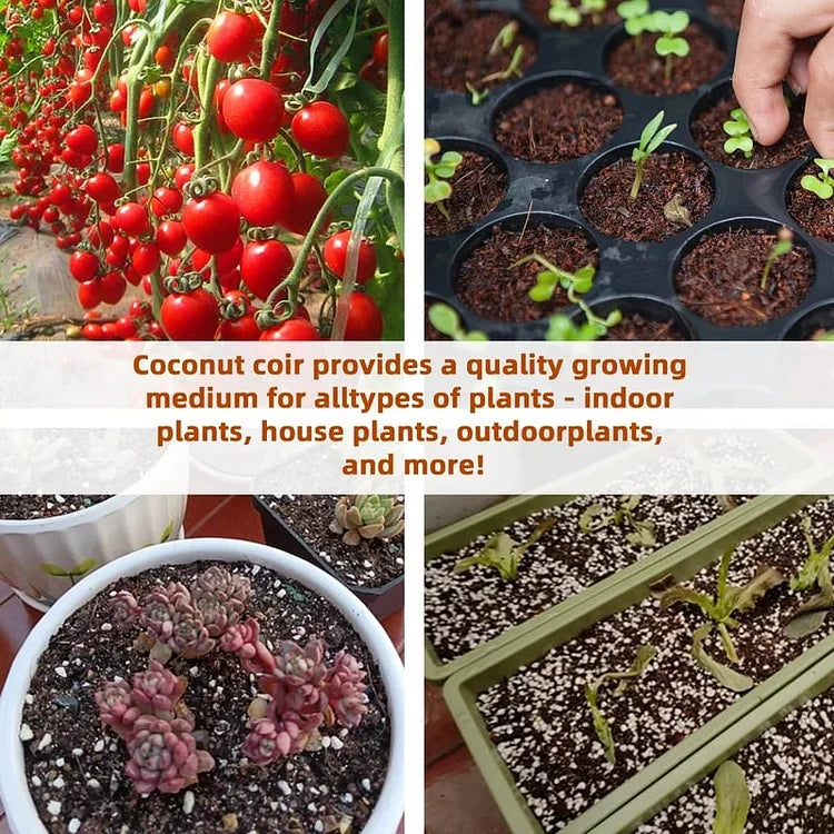 EcoBloom™ Cărămizi de cocos organice pentru plante