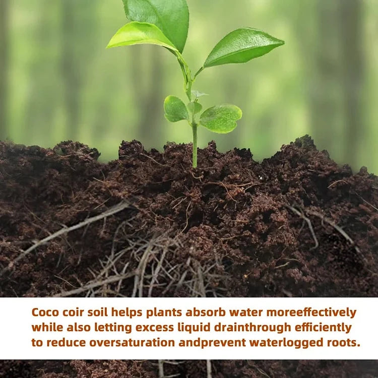 EcoBloom™ Cărămizi de cocos organice pentru plante
