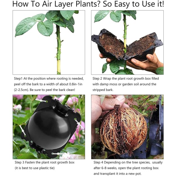EcoRoot™ Cutie pentru creșterea rădăcinilor plantelor