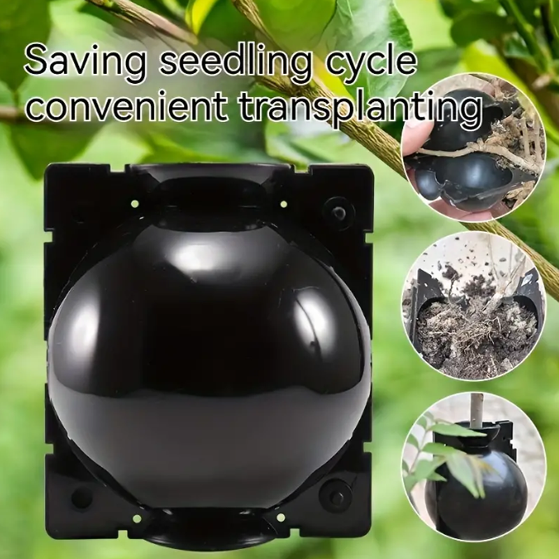 EcoRoot™ Cutie pentru creșterea rădăcinilor plantelor