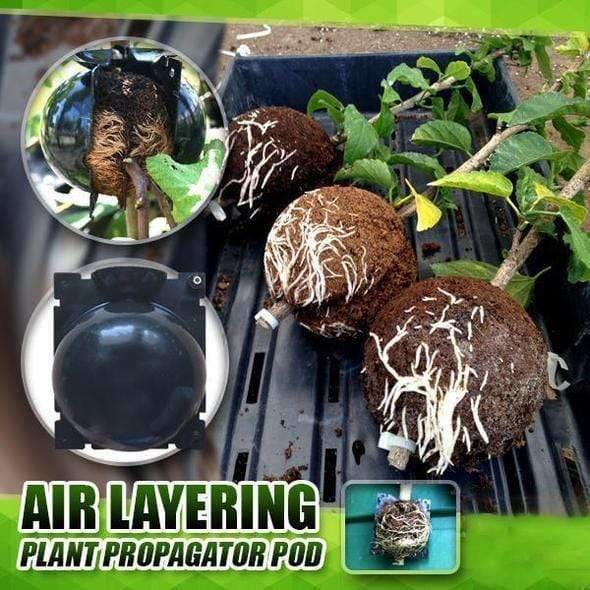 EcoRoot™ Cutie pentru creșterea rădăcinilor plantelor