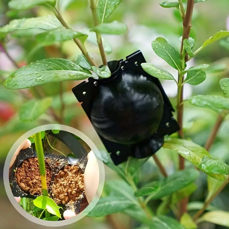 EcoRoot™ Cutie pentru creșterea rădăcinilor plantelor